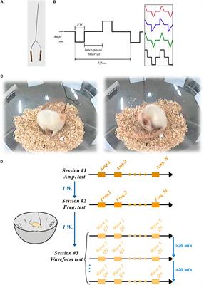 Systematic Evaluation of DBS Parameters in the Hemi-Parkinsonian Rat Model